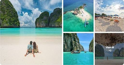 Gallery Layout 2 - Grid Gallery